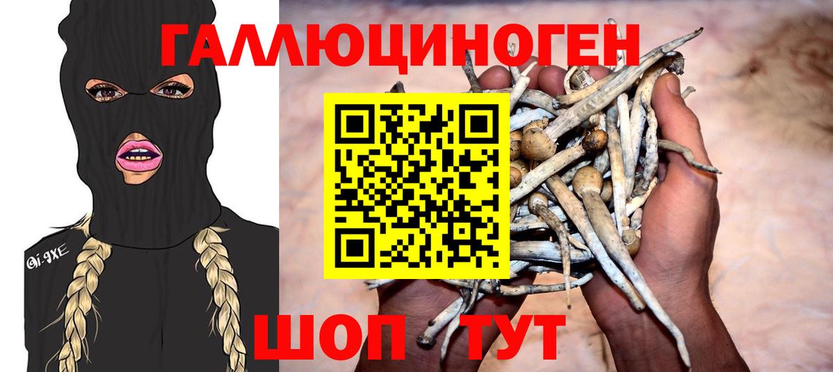 Галлюциногенные грибы мицелий Находка