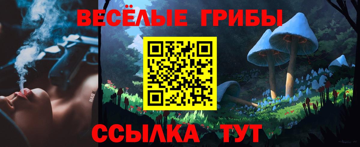 Находка  Галлюциногенные грибы мухоморы  Вход с VPN 